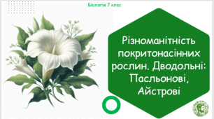 Урок на тему "Різноманітність покритонасінних рослин. Дводольні: Пасльонові, Айстрові" (Конспект, презентація, робочі аркуші)