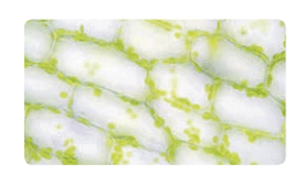 0601y472-7b68-265x158.png