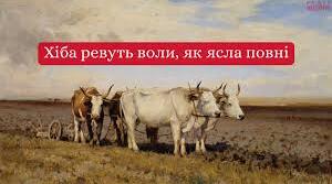 «Хіба ревуть воли, як ясла повні?» – перший соціально-психологічний роман в українській літературі
