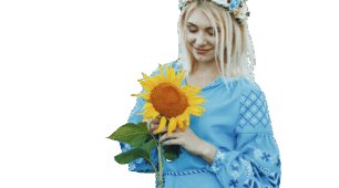Однорідні члени речення, звертання, вставні слова.