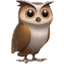 🦉