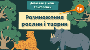 Презентація на тему "Розмноження рослин і тварин" 