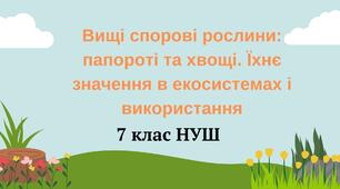 Вищі спорові рослини: папороті та хвощі. Їхнє значення в екосистемах і використання. НУШ