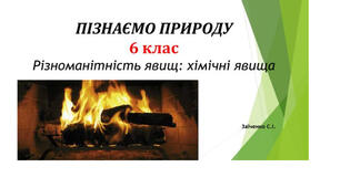 6 клас. Презентація "Різноманітність явищ: хімічні явища" НУШ