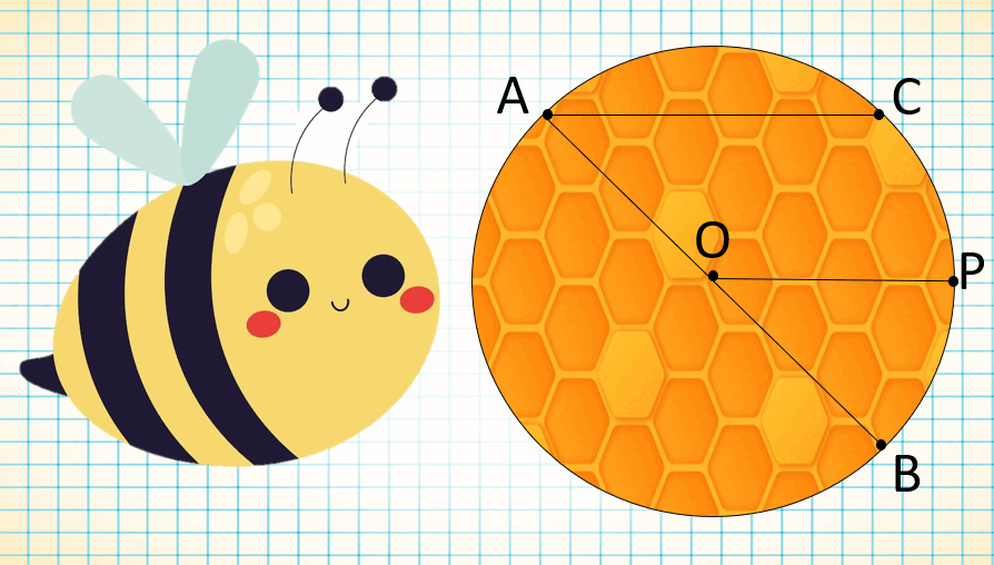 0601y6qt-e3a9-894x508.png