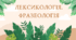 Лексикологія. Фразеологія (7 клас НУШ за Заболотним)