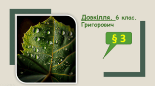 Водна поверхня