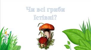 Презентація на тему "Гриби"