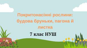 Покритонасінні рослини: будова бруньки, пагона й листка. НУШ