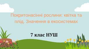 Покритонасінні рослини: квітка та плід.
