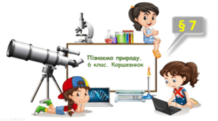 З чого складаютсья і де використовуються розчини
