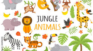 " The animals in the Jungle." 