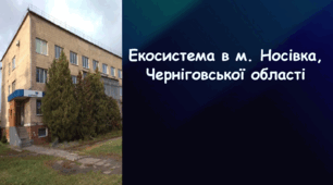 Проєктна робота на тему «Дослідження особливостей структури місцевих екосистем»