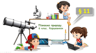 Досліджуємо електризацію тіл