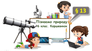Чим особливі магніти та навіщо вони потрібні