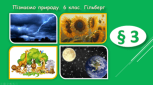 Чому в природі все взаємопов’язано