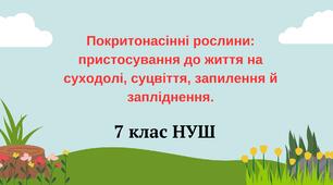 Покритонасінні рослини: пристосування до життя на суходолі, суцвіття, запилення й запліднення. НУШ