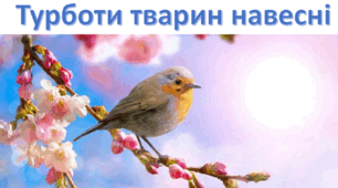 ЯДС. Турботи тварин навесні