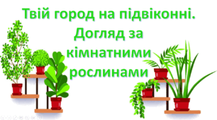 ЯДС. Твій город на підвіконні. Догляд за кімнатними рослинами