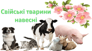 ЯДС. Свійські тварини навесні. Чим схоже і чим різниться життя диких та свійських тварин навесні
