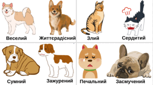 Гра-картки "Знайди синоніми" 1-4 клас PDF для друку