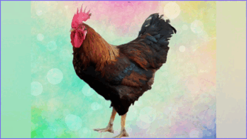 0601yke6-28d4-284x160.png