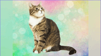 0601ykeb-0ea4-295x165.png