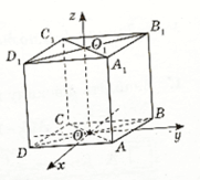 0601yltd-cc87-181x163.png