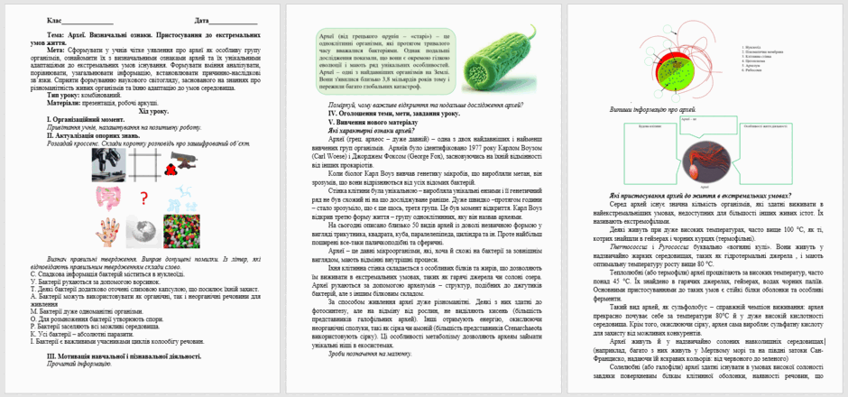 0601ylz0-9e50-940x440.png