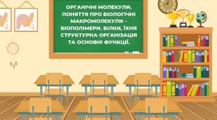 Органічні молекули. Поняття про біологіяні макромолекули - біополімери. Білки, їхня структурна організація та нові функції.