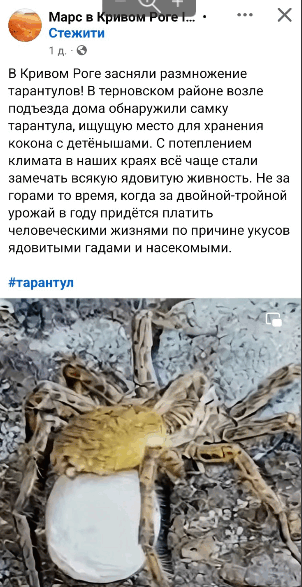 0601ypkb-1c84-302x587.png