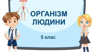 Діагностувальна робота № 7 "Організм людини". 5 клас