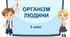 Діагностувальна робота № 7 "Організм людини". 5 клас