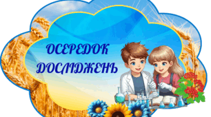 Осередки  для 5 -9 класів НУШ в патріотичному стилі.