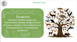 Урок на тему "Еукаріоти. Загальні ознаки еукаріотів. Узагальнена будова еукаріотичної клітини у зв’язку з життєдіяльністю. Різноманітність і походження еукаріотів" (Конспект, презентація, робочі аркуші)