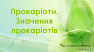 Презентація на тему "Прокаріоти"
