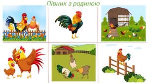Конспект заняття з художньої літератури для старшої групи на тему "Переказування оповідання К. Д. Ушинського «Півник з родиною»