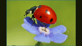 0601yyyi-b7b6-328x185.png