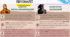 НМТ з історії Презентація Тема:6 Українські землі у складі Речі Посполитої в другій половині XVI ст.