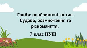Гриби: особливості клітин, будова, розмноження та різноманіття. НУШ