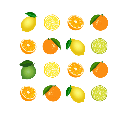 0601z144-206a-500x445.png