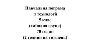Навчальна програма Технології 5 клас НУШ Ходзицька І.Ю. на І та ІІ семестр 2024-2025 (змішана група)