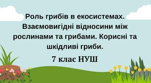 Роль грибів в екосистемах. Взаємовигідні відносини між рослинами та грибами. Корисні та шкідливі гриби. НУШ