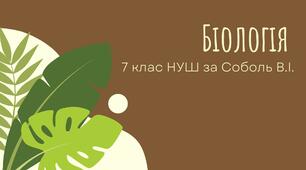 Презентація для уроків біології у 7 класі НУШ на тему "Папороті" за модельною програмою Соболь В.І.