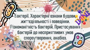 Бактерії. Характерні ознаки будови, життєдіяльності і поведінки. Різноманітність бактерій. Пристосування бактерій до несприятливих умов спороутворення, анабіоз.