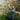Аватар профіля