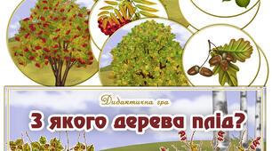 Дидактична гра "З якого дерева плід"