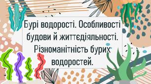 Бурі водорості. Особливості будови й життєдіяльності. Різноманітність бурих водоростей.