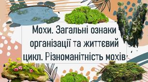 Мохи. Загальні ознаки організації та життєвий цикл. Різноманітність мохів