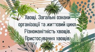 Хвощі. Загальні ознаки організації та життєвий цикл. Різноманітність хвощів. Пристосування хвощів.